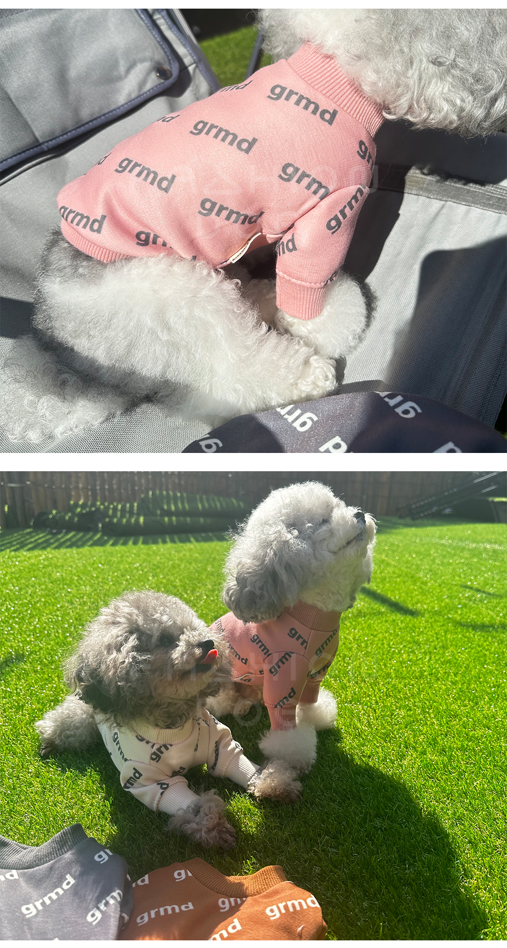 강아지기모티 강아지옷 애견옷 상세 이미지 8