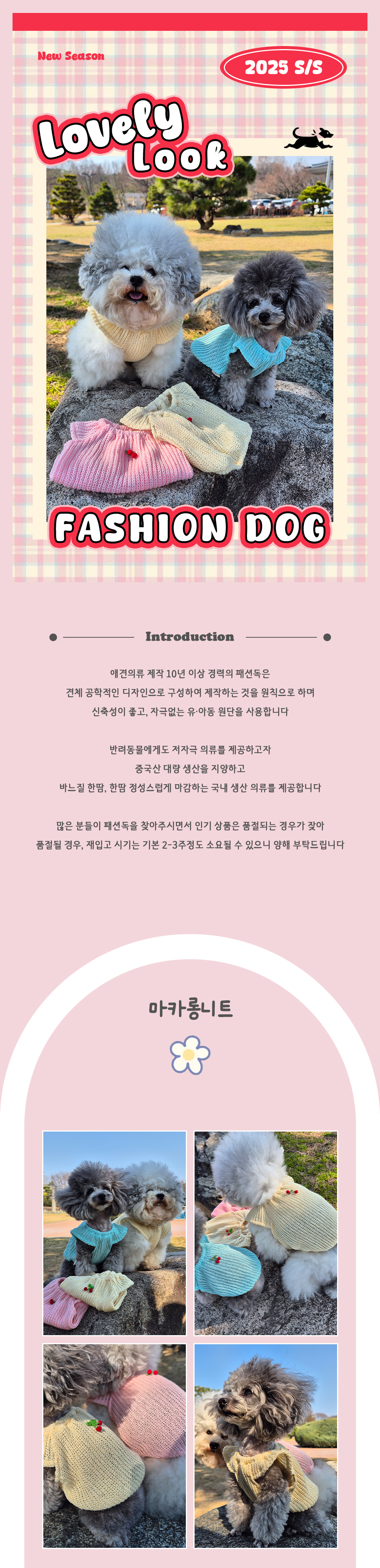 강아지니트티 강아지옷겨울옷 강아지옷 상세 이미지 1