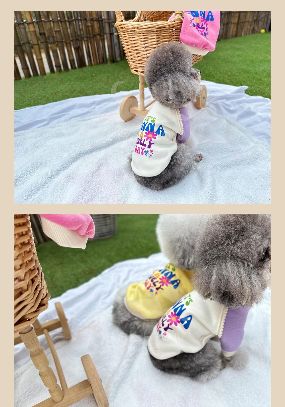 애완견옷 애견외출복 강아지맨투맨 상세 이미지 7