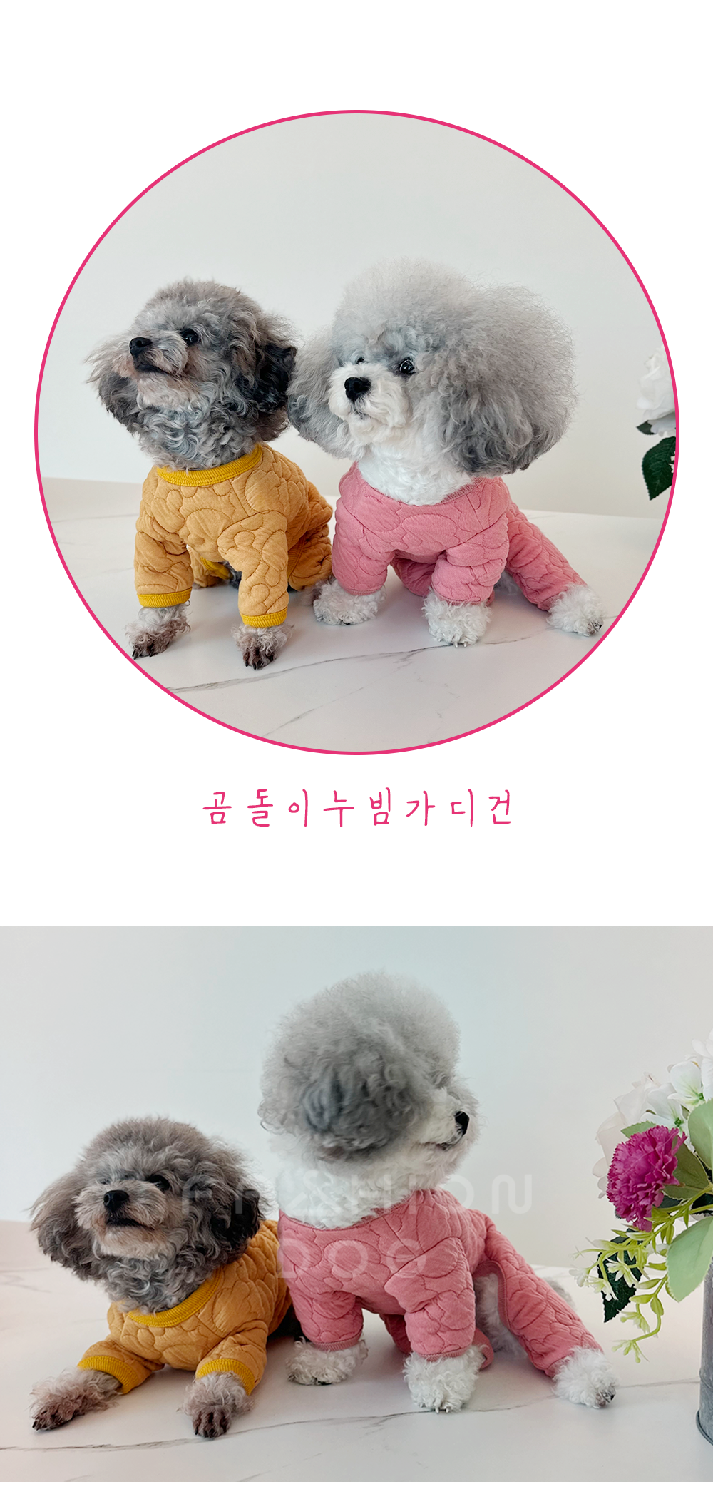강아지옷겨울옷 애견옷 애견외출복 상세 이미지 6