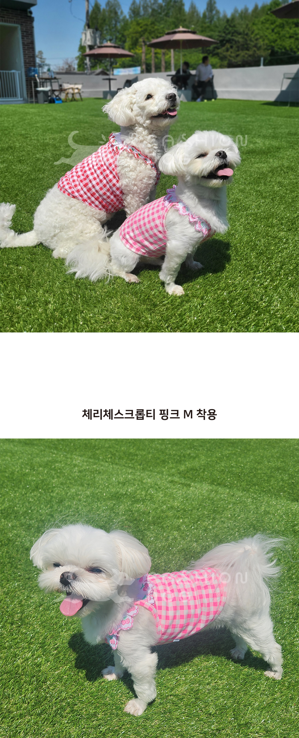 애견옷 여자강아지여름옷 여름용강아지옷 상세 이미지 4