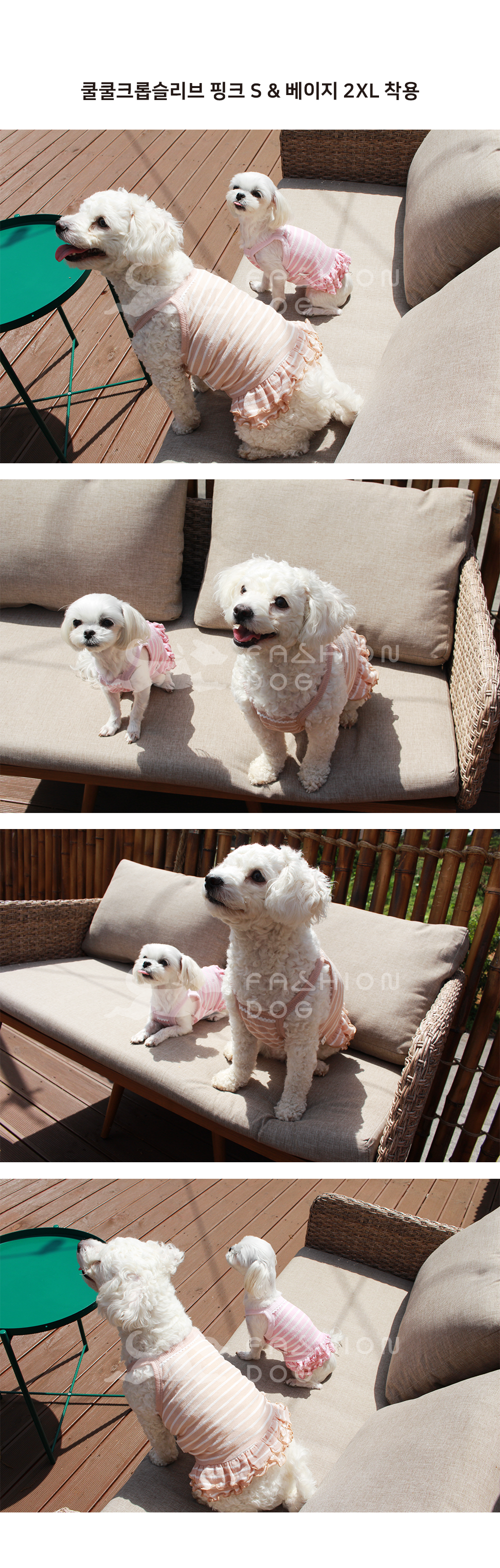 강아지크롭탑 강아지외출복 강아지크롭티 상세 이미지 3