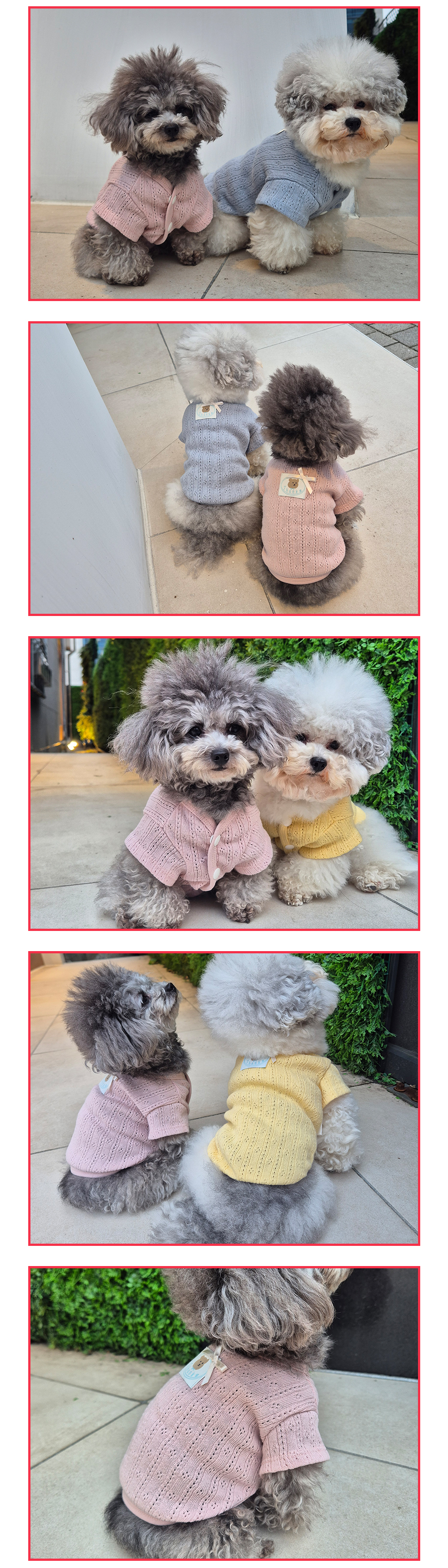 강아지봄옷 소형견옷 강아지가을옷 상세 이미지 5