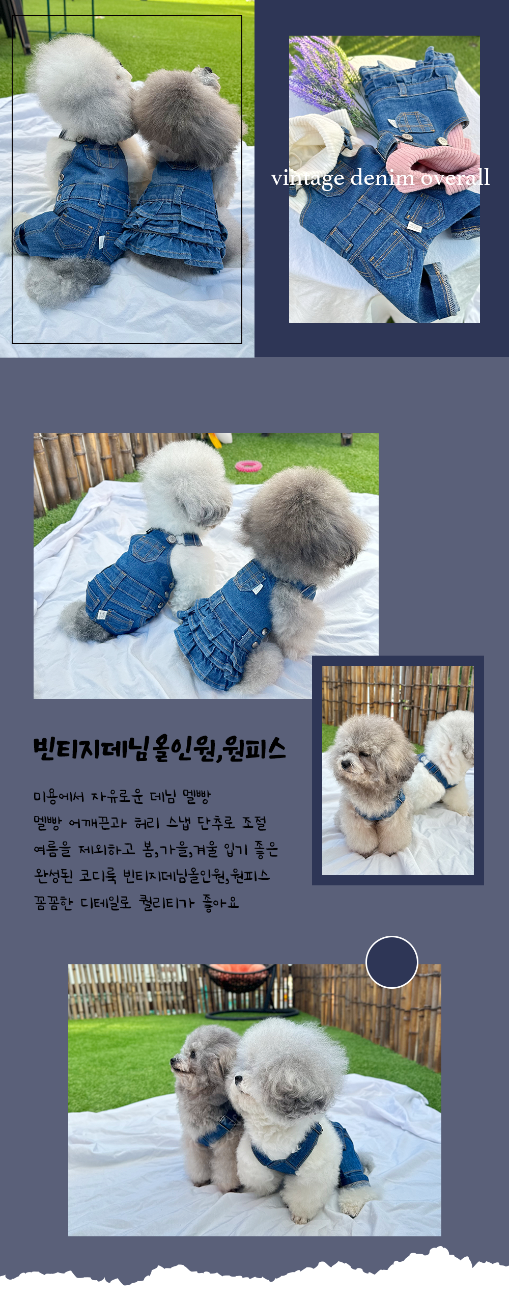 강아지원피스 강아지프릴옷 강아지봄옷 상세 이미지 4