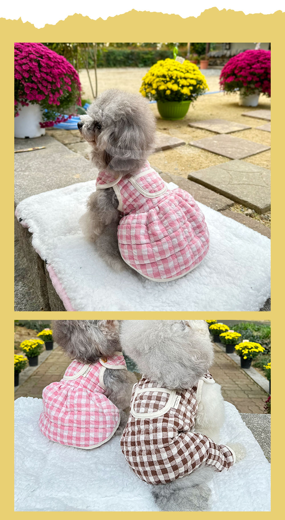 강아지옷 애완견옷 강아지올인원여름실내복 상세 이미지 4