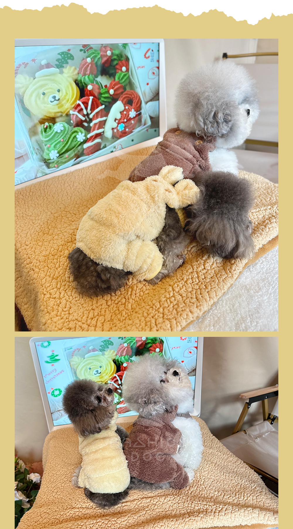 강아지바지 남자강아지바지 애견의류 상세 이미지 6