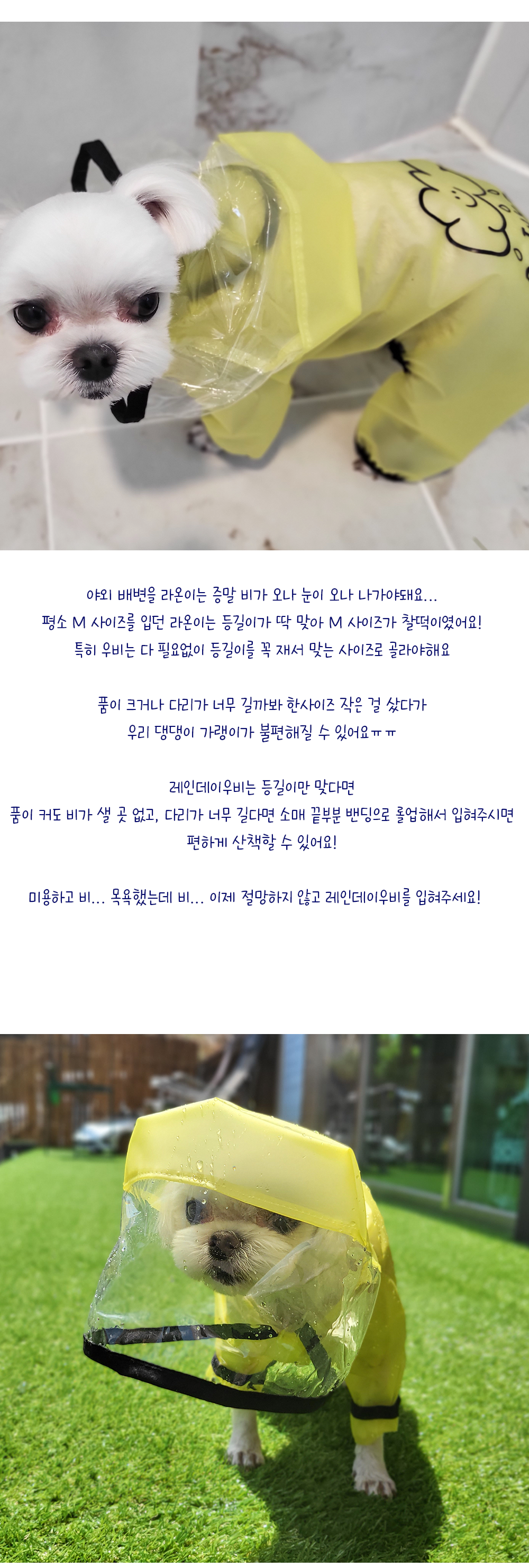 강아지우비 강아지우비망토 개우비 상세 이미지 6