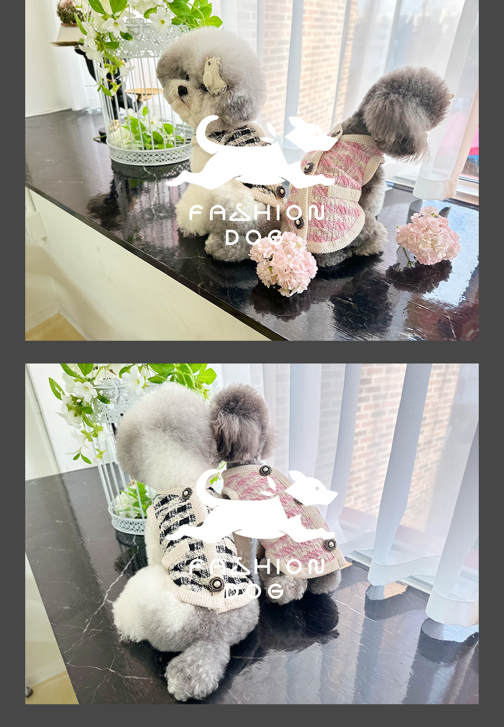 반려동물옷 애견의류 팻의류 상세 이미지 5