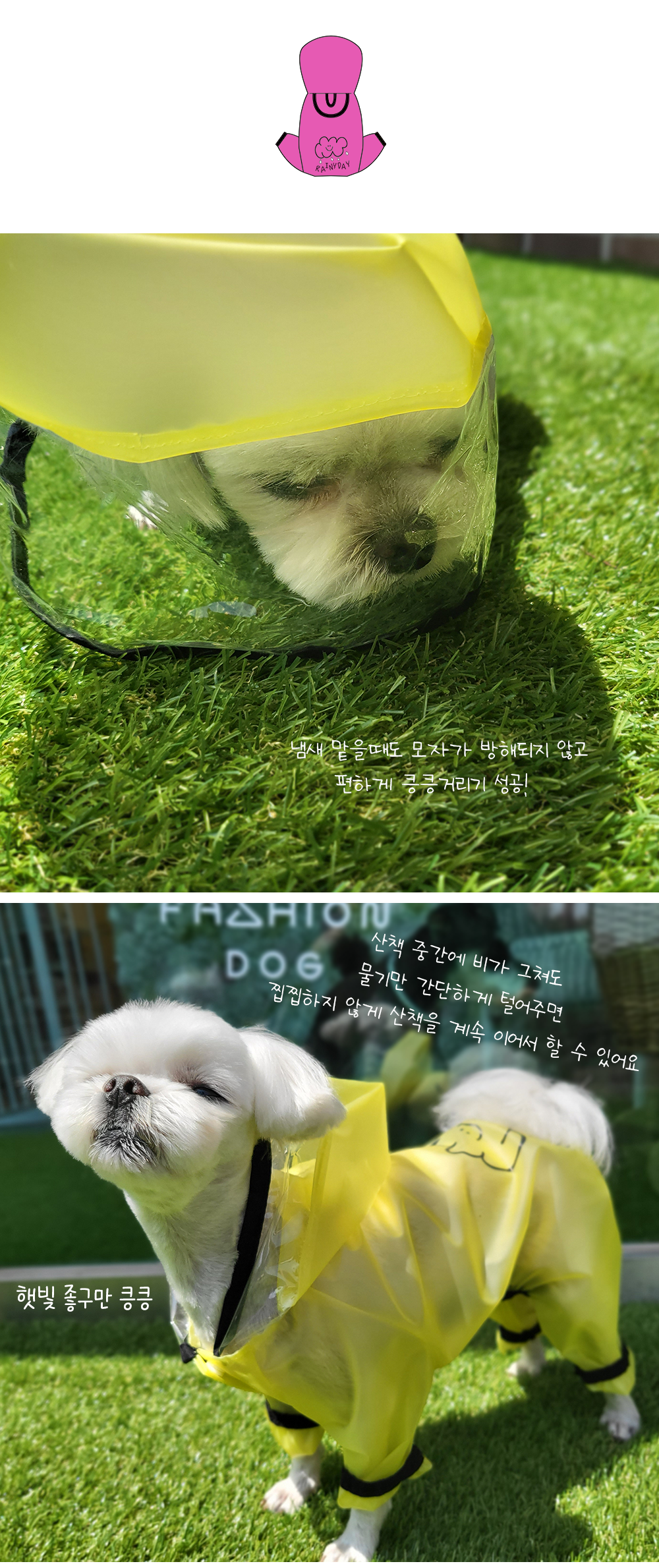 강아지우비 강아지우비망토 개우비 상세 이미지 8