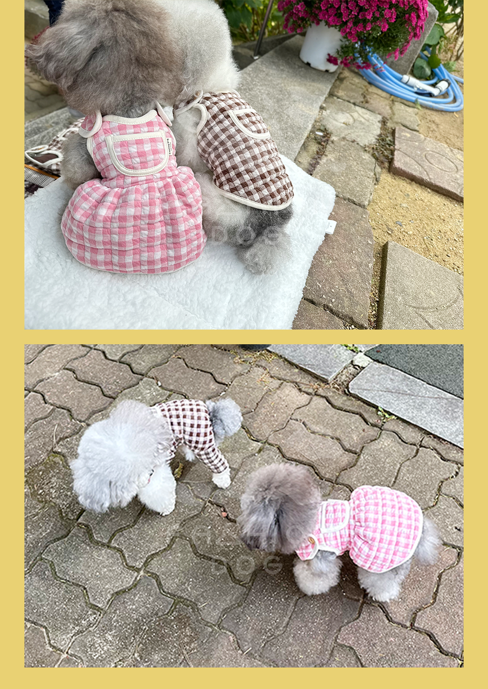 강아지옷 애완견옷 강아지올인원여름실내복 상세 이미지 5