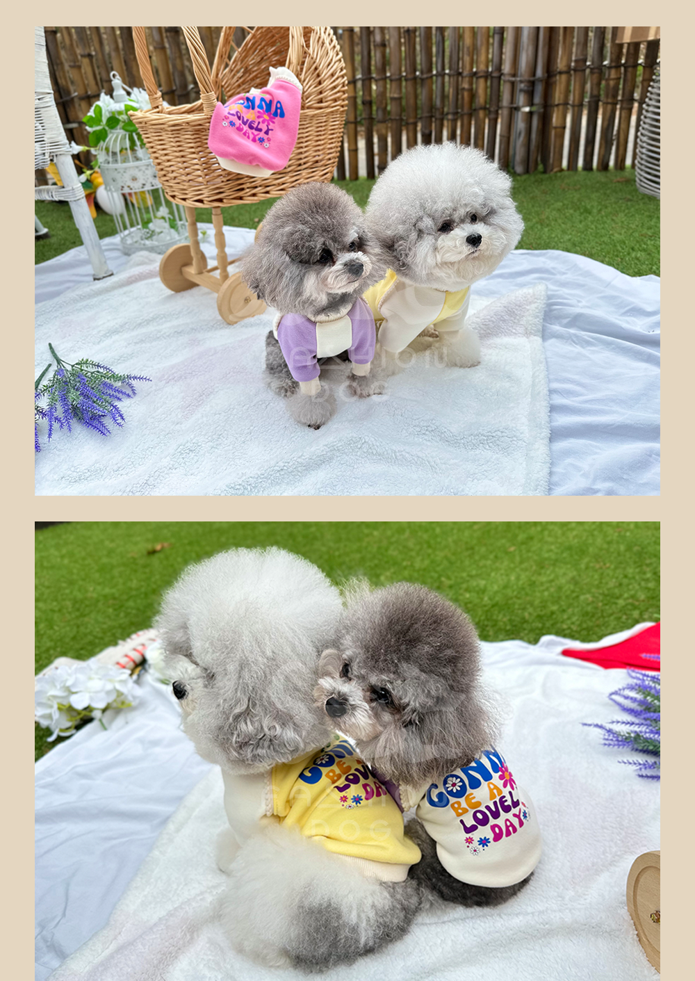 애완견옷 애견외출복 강아지맨투맨 상세 이미지 8