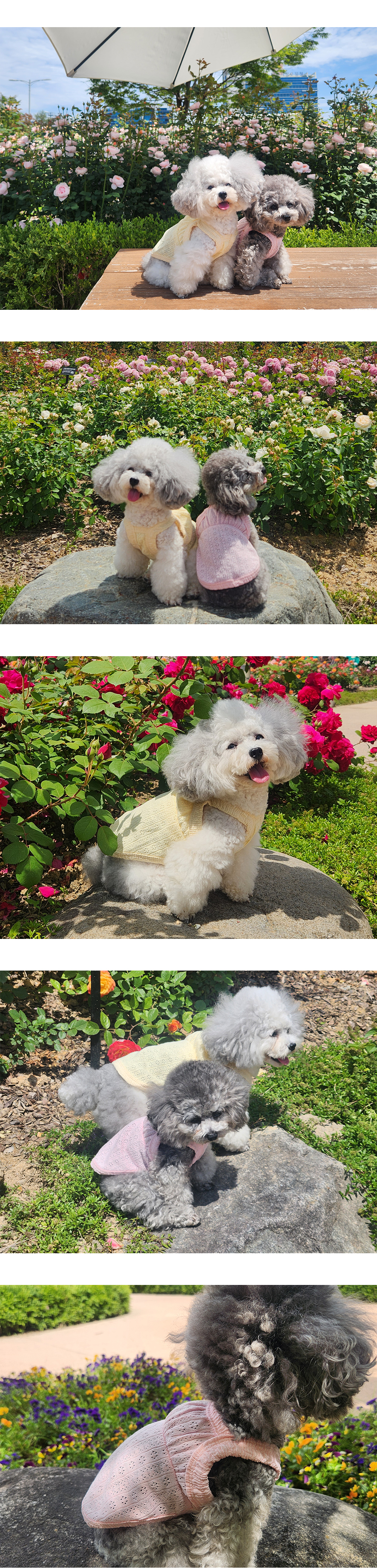 강아지옷 강아지나시티 애견의류 상세 이미지 5