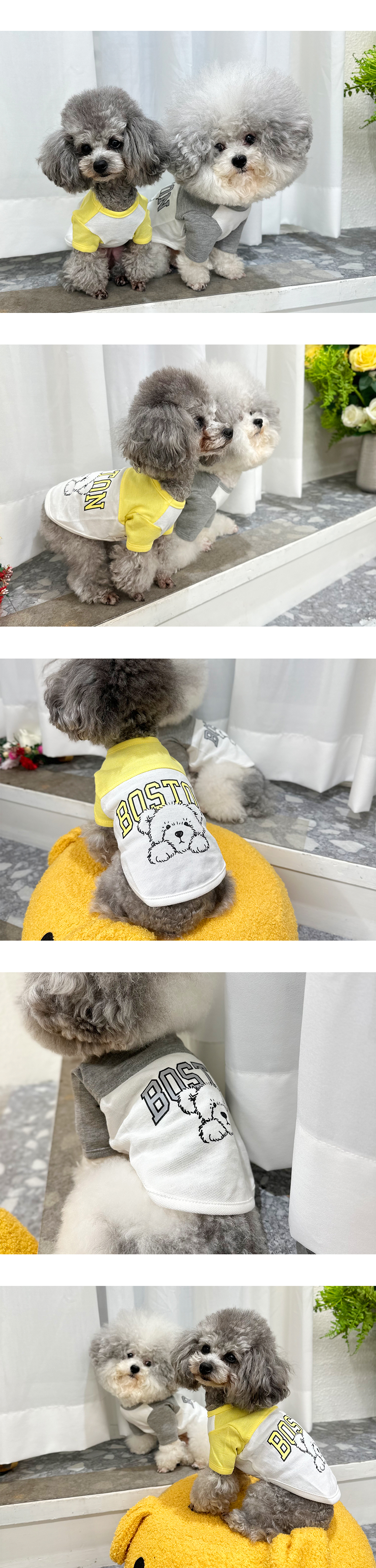 애견여름옷 애견옷 여성강아지반팔티 상세 이미지 5