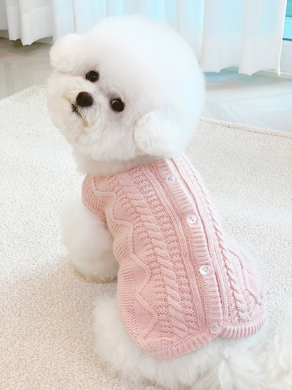팻의류 강아지의류 반려견옷 상세 이미지 11
