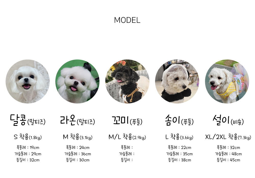 강아지수영복비키니 강아지비키니투피스 강아지수영복세트 상세 이미지 13