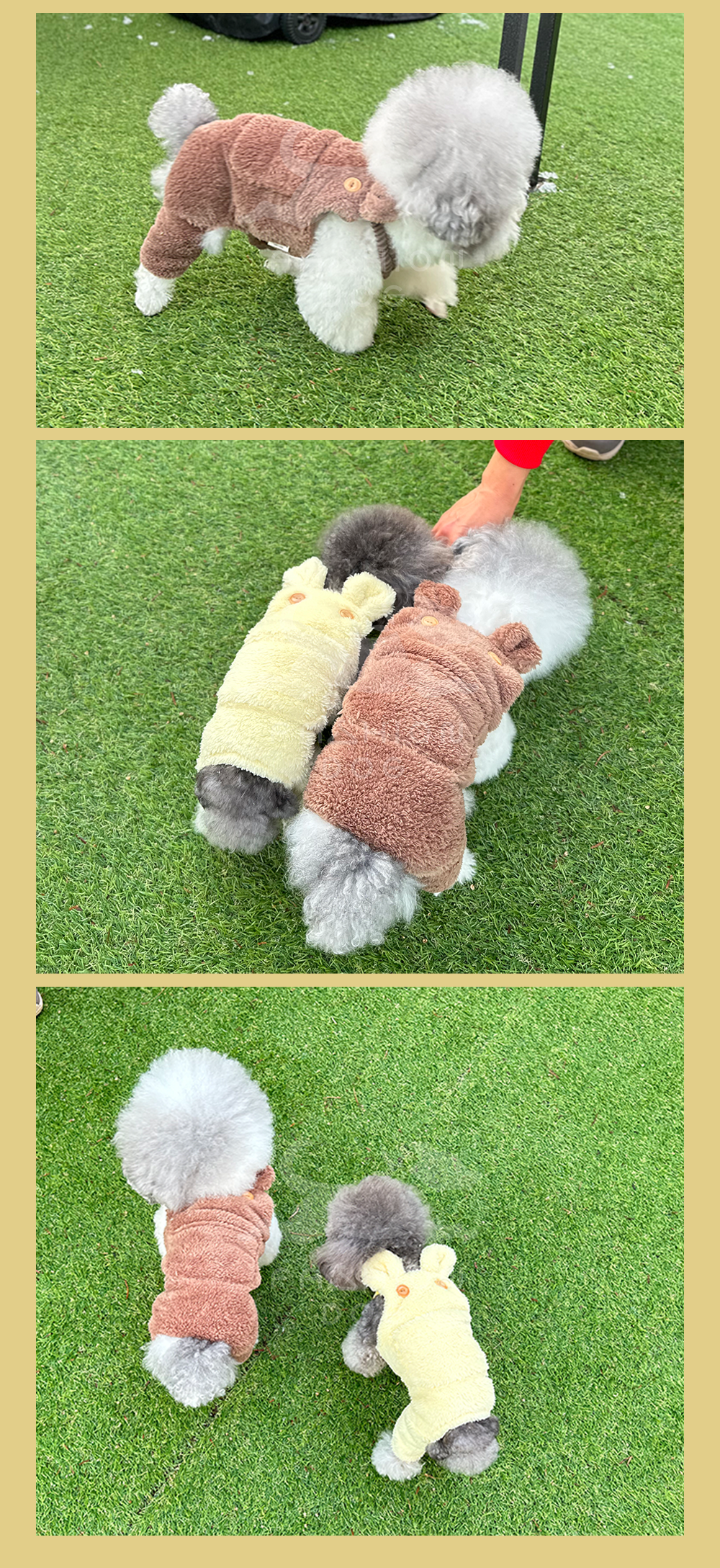 강아지바지 남자강아지바지 애견의류 상세 이미지 8