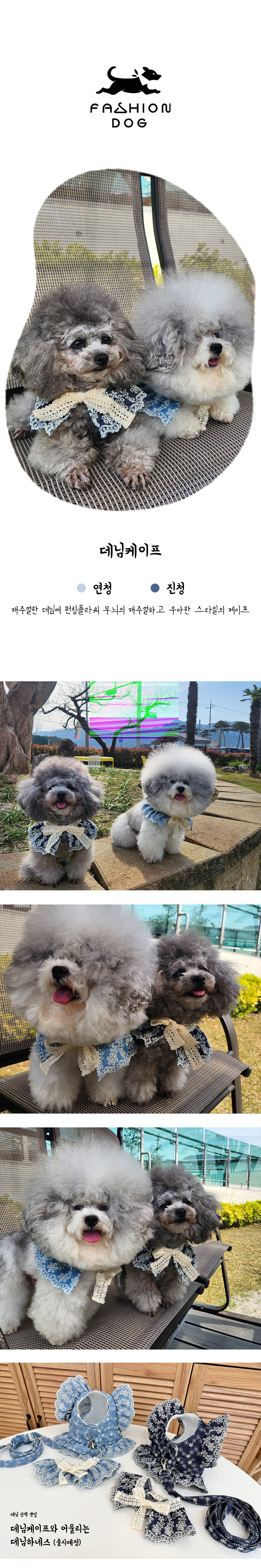 강아지보호대 고양이넥카라 강아지깔대기 상세 이미지 1