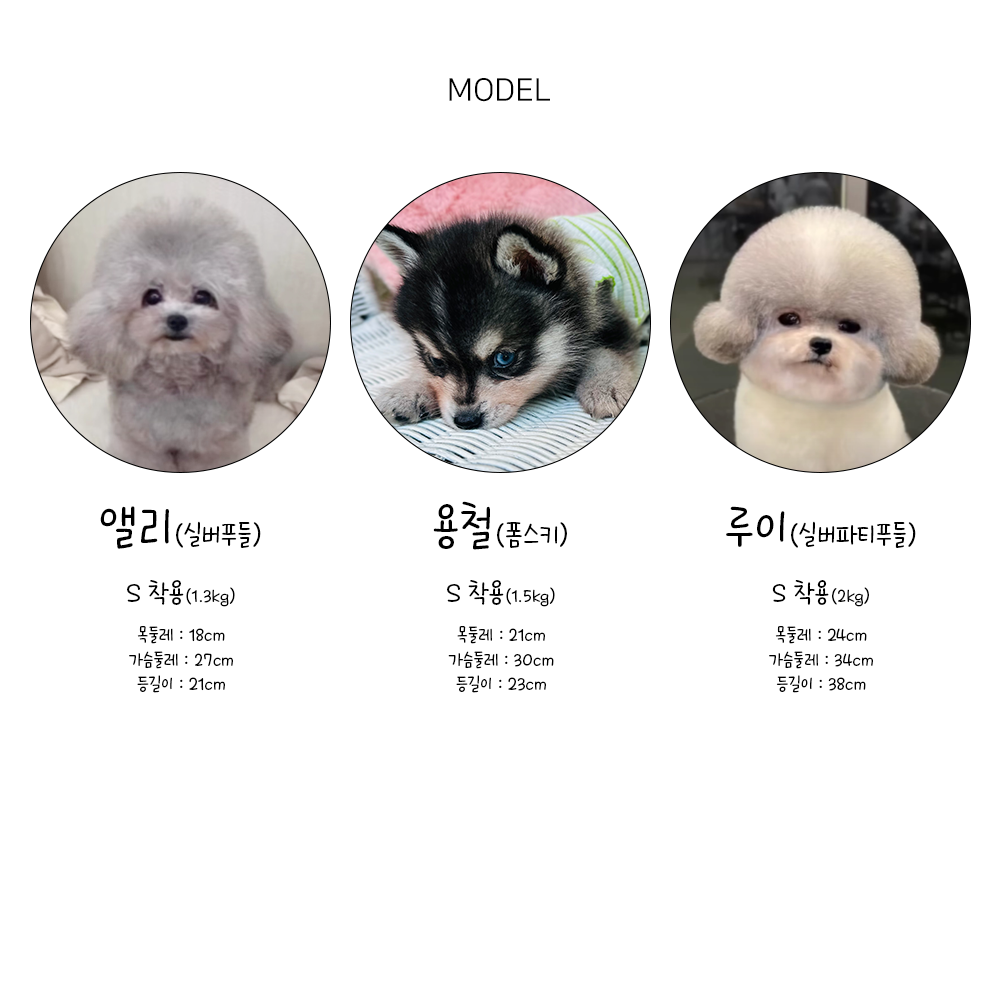 강아지옷여름옷 애견나시티 강아지여름나시 상세 이미지 11
