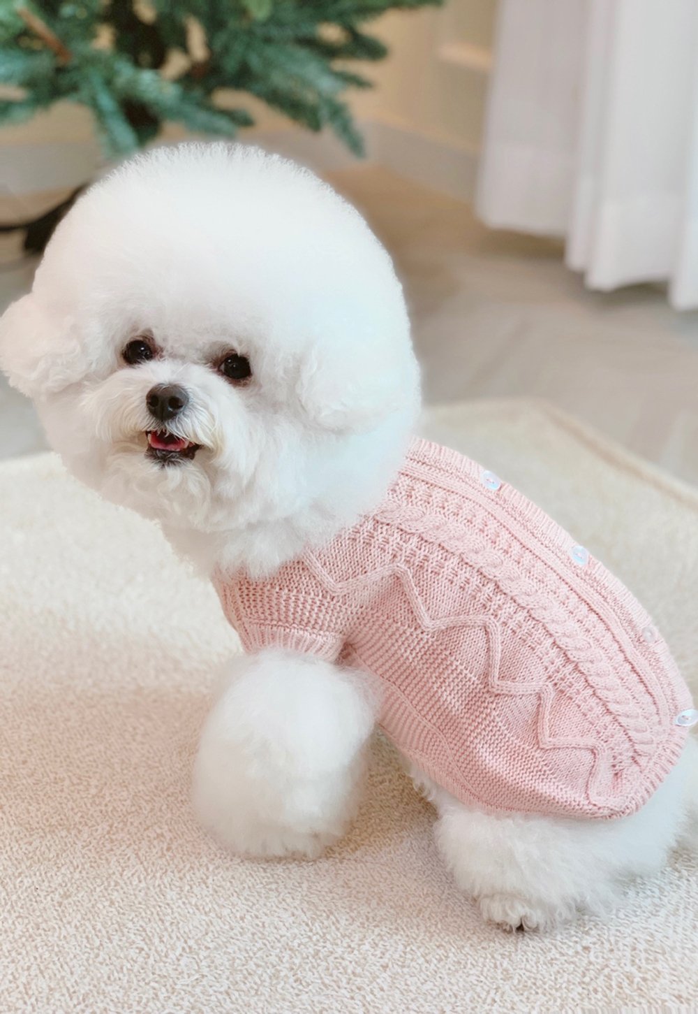 팻의류 강아지의류 반려견옷 상세 이미지 13