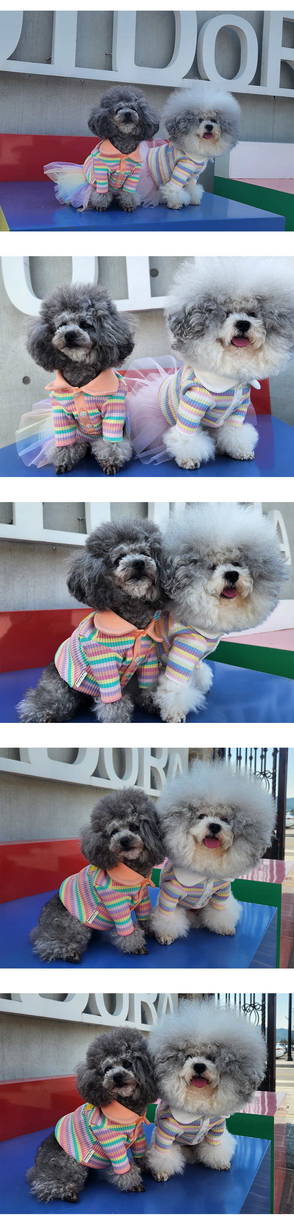 애견의류 강아지옷 애완견옷 상세 이미지 5
