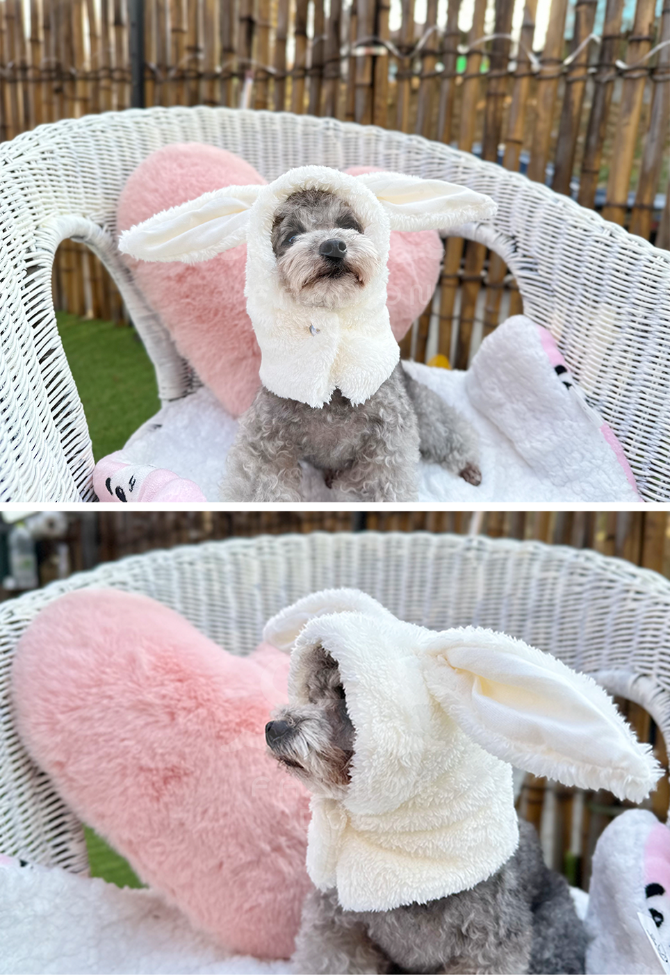애견겨울모자 애견모자 고양이토끼모자 상세 이미지 6