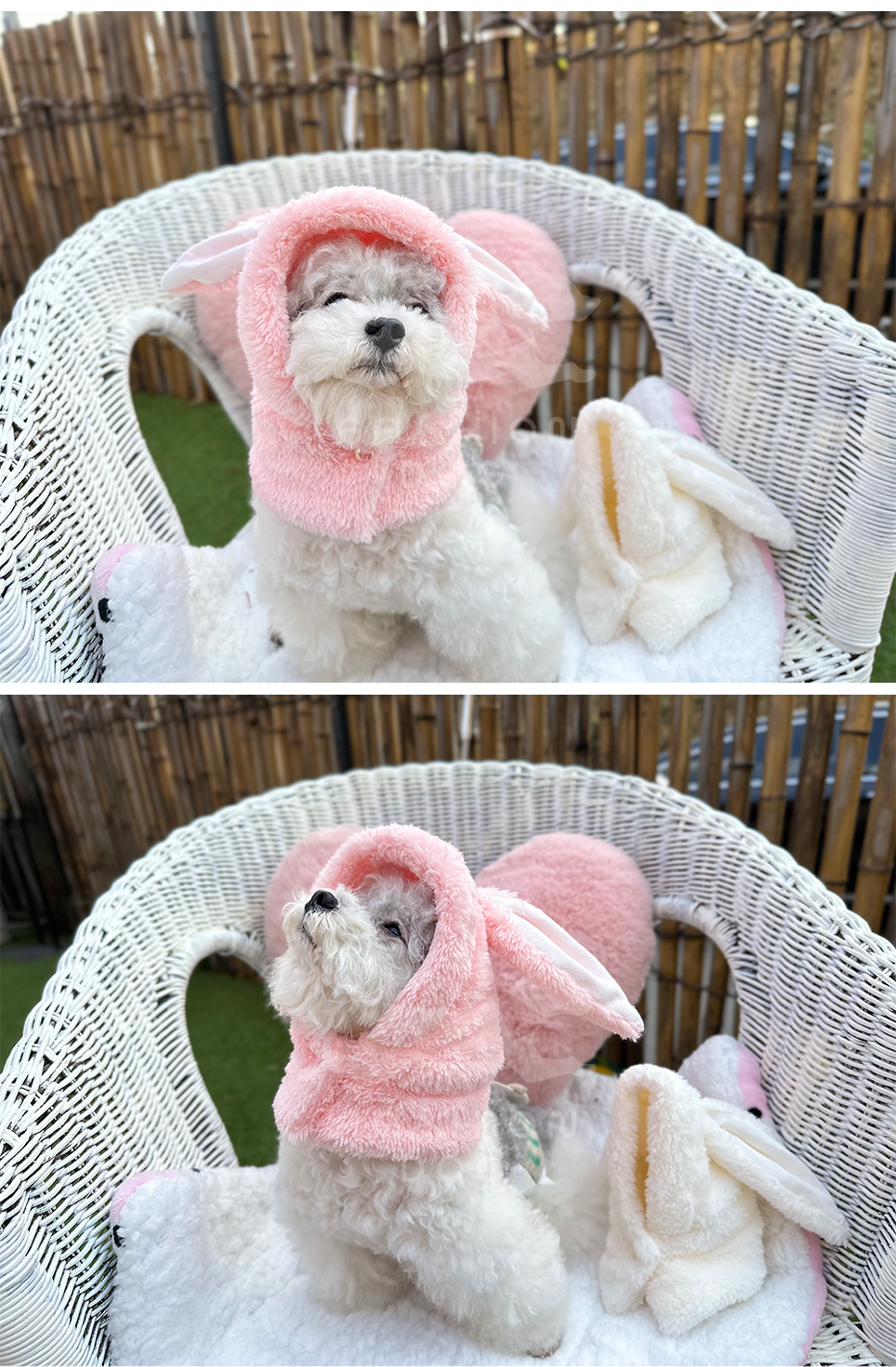 애견겨울모자 애견모자 고양이토끼모자 상세 이미지 9