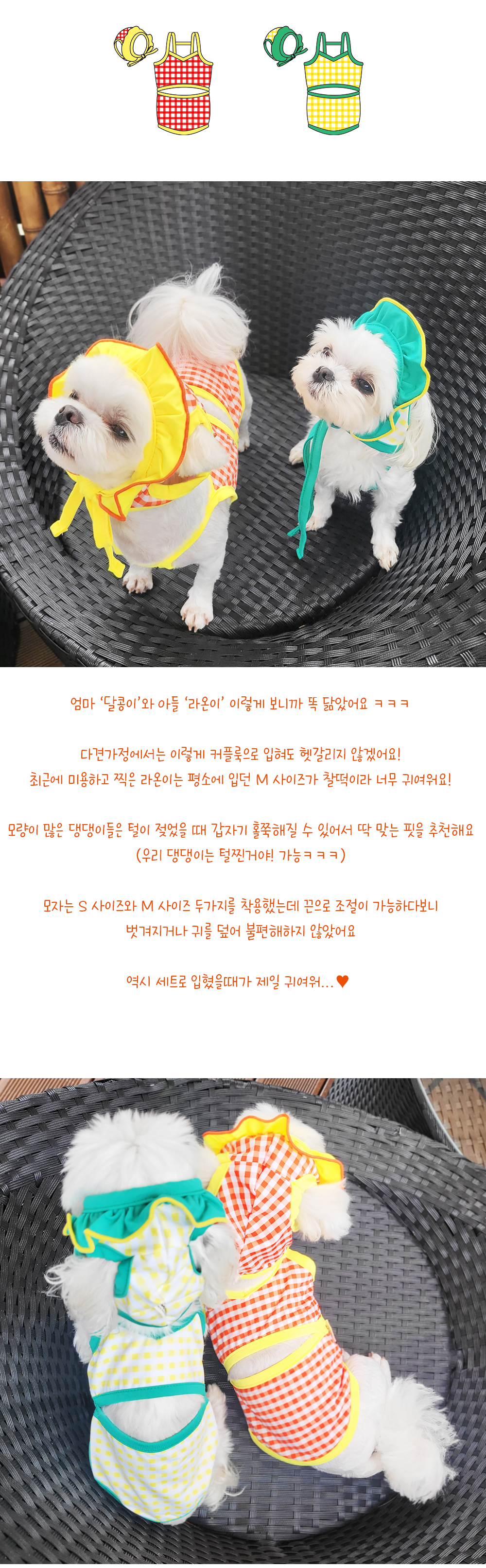 강아지수영복비키니 강아지비키니투피스 강아지수영복세트 상세 이미지 5