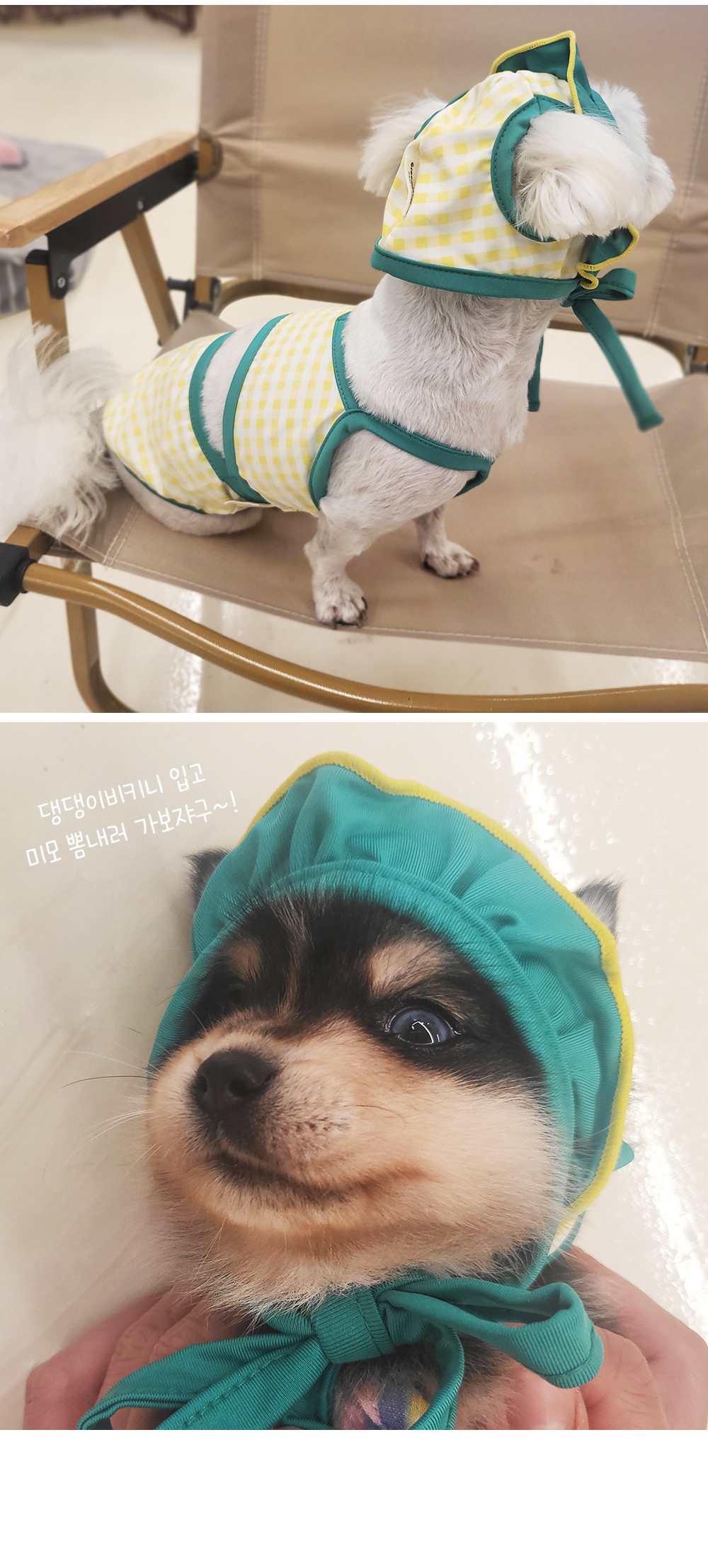 강아지수영복비키니 강아지비키니투피스 강아지수영복세트 상세 이미지 12