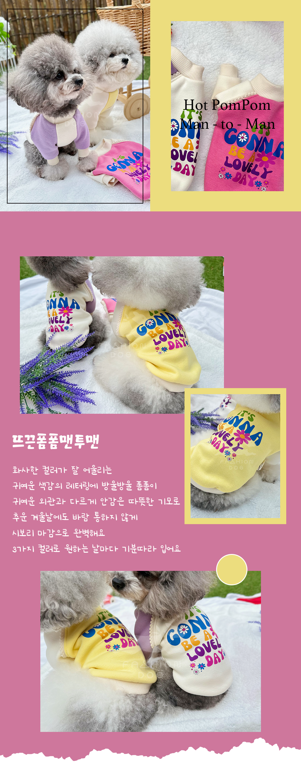 애완견옷 애견외출복 강아지맨투맨 상세 이미지 5