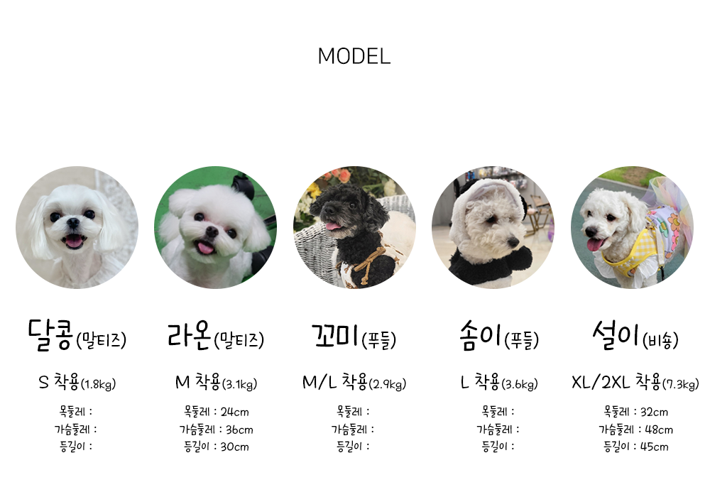 애견여름옷 강아지나시티 강아지여름옷 상세 이미지 10