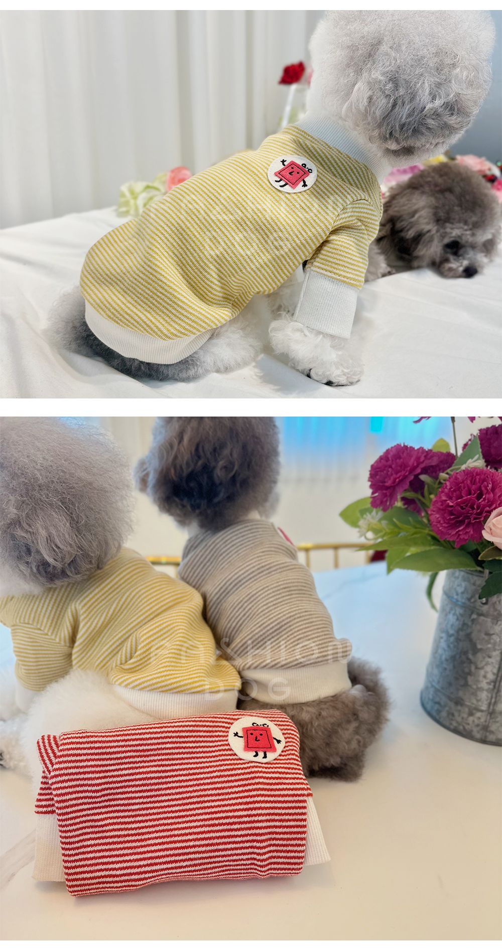 강아지티셔츠 강아지봄옷 강아지외출복 상세 이미지 8