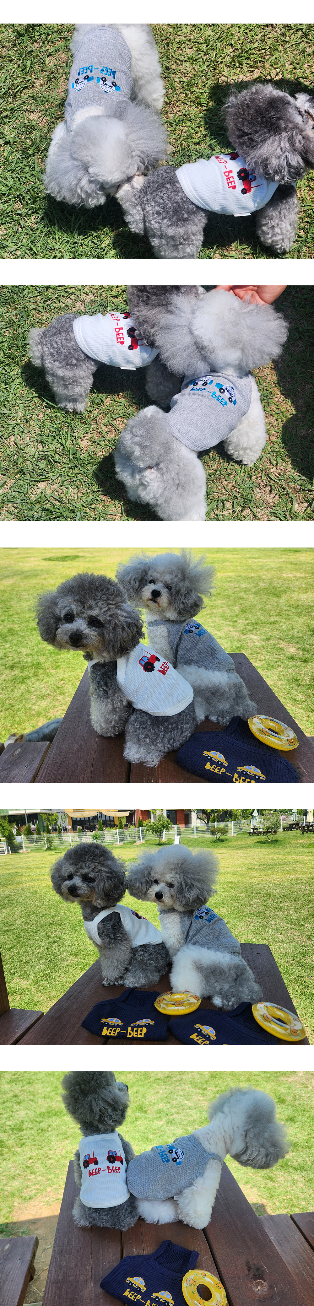 강아지여름나시 애견나시티 반려견여름나시 상세 이미지 5