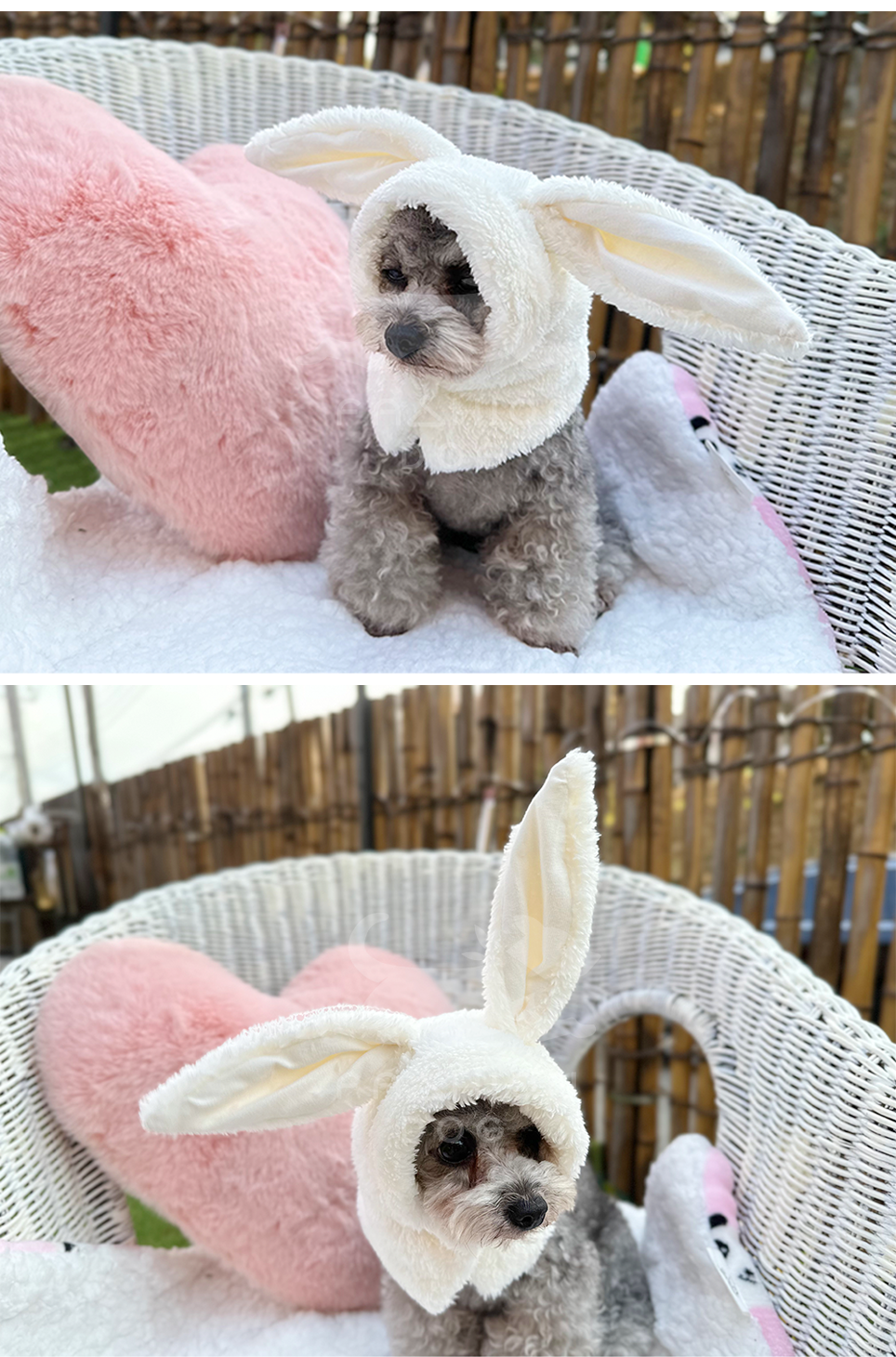 애견겨울모자 애견모자 고양이토끼모자 상세 이미지 7
