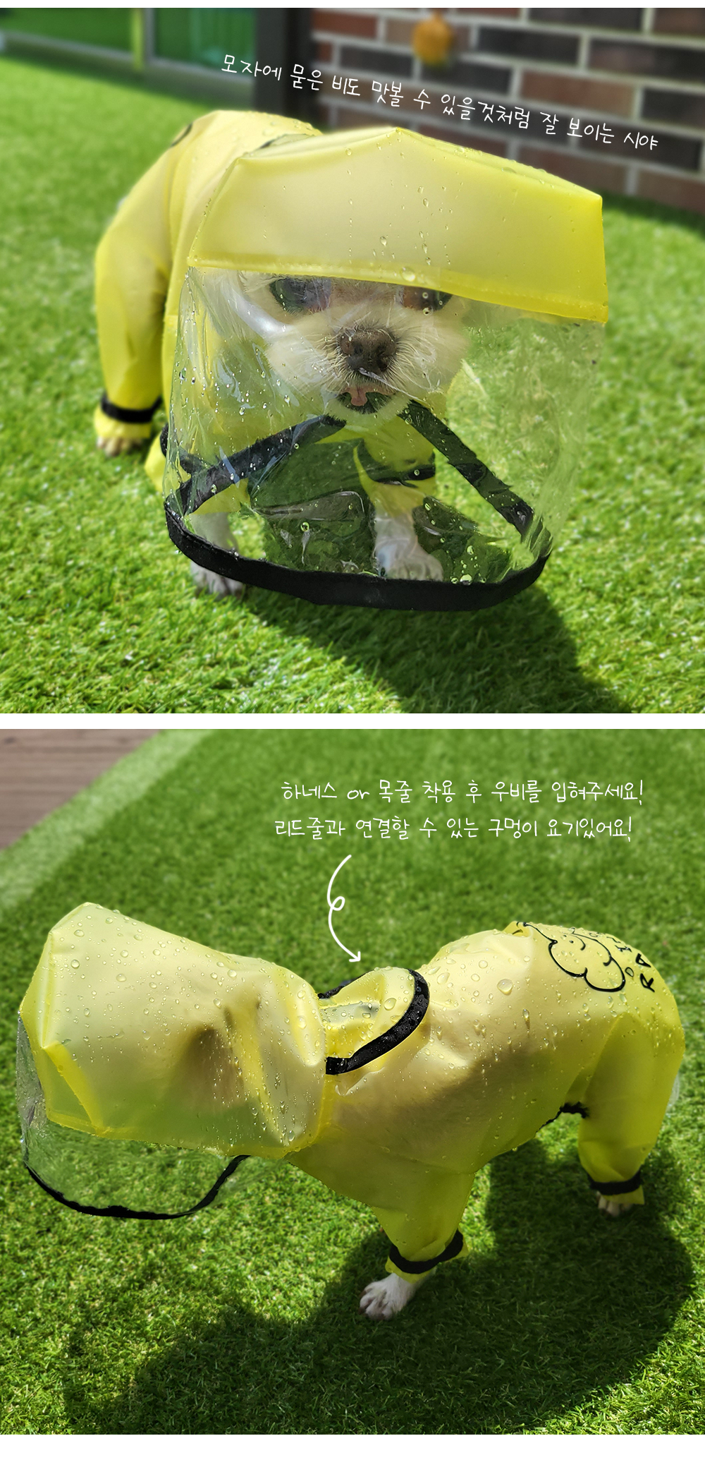 강아지우비 강아지우비망토 개우비 상세 이미지 7