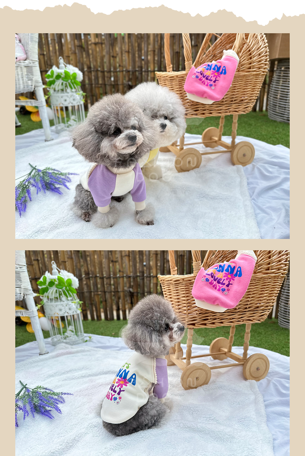 애완견옷 애견외출복 강아지맨투맨 상세 이미지 6