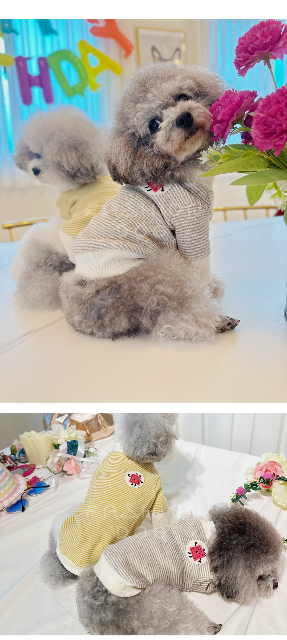 강아지티셔츠 강아지봄옷 강아지외출복 상세 이미지 7