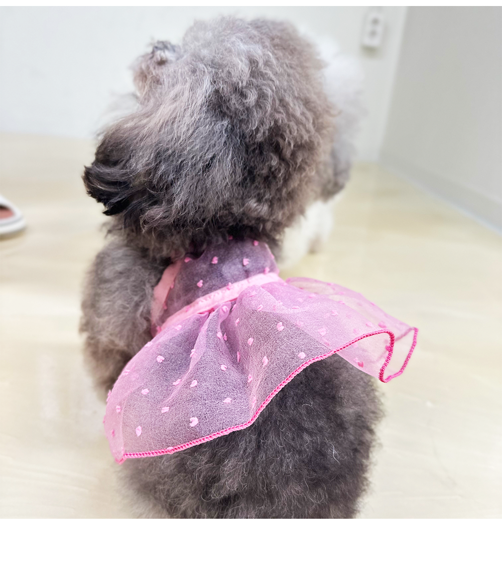 여자강아지여름옷 강아지크롭나시원피스 애견의류 상세 이미지 9