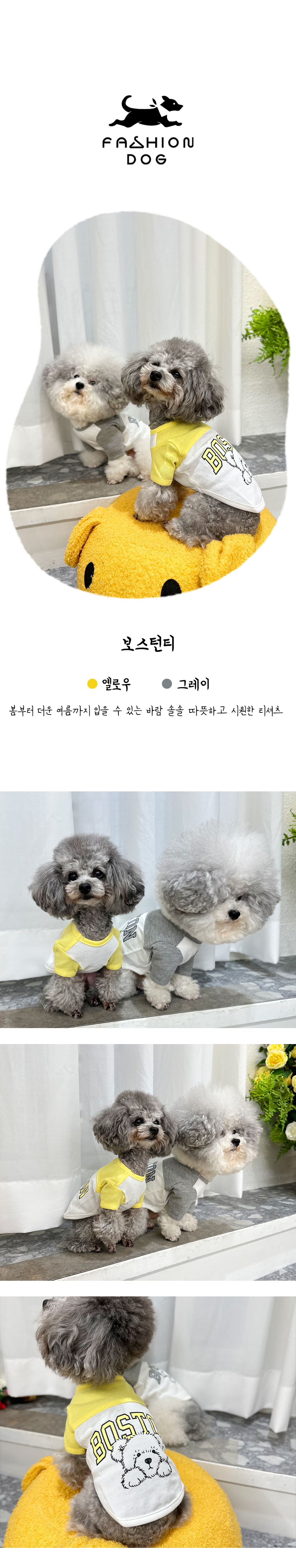 애견여름옷 애견옷 여성강아지반팔티 상세 이미지 1