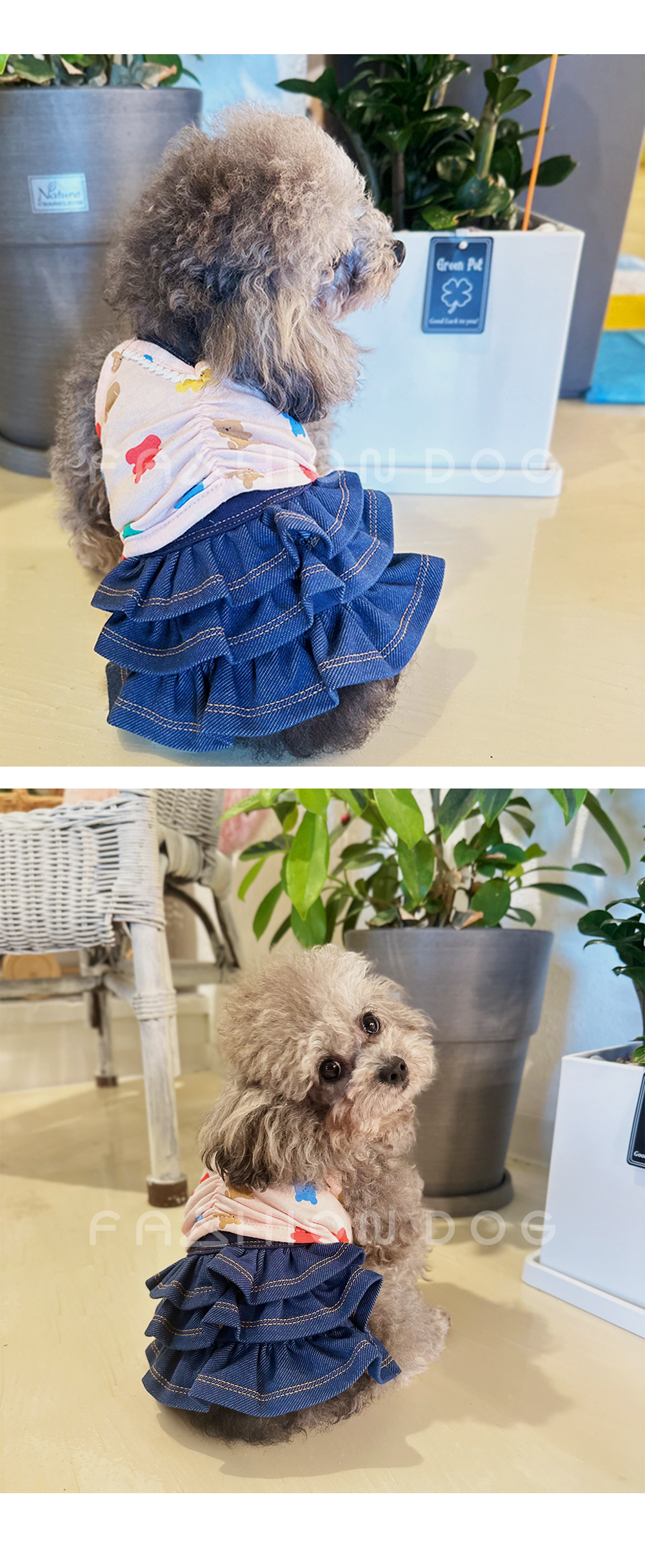 강아지옷여름옷 애견나시티 강아지여름나시 상세 이미지 7