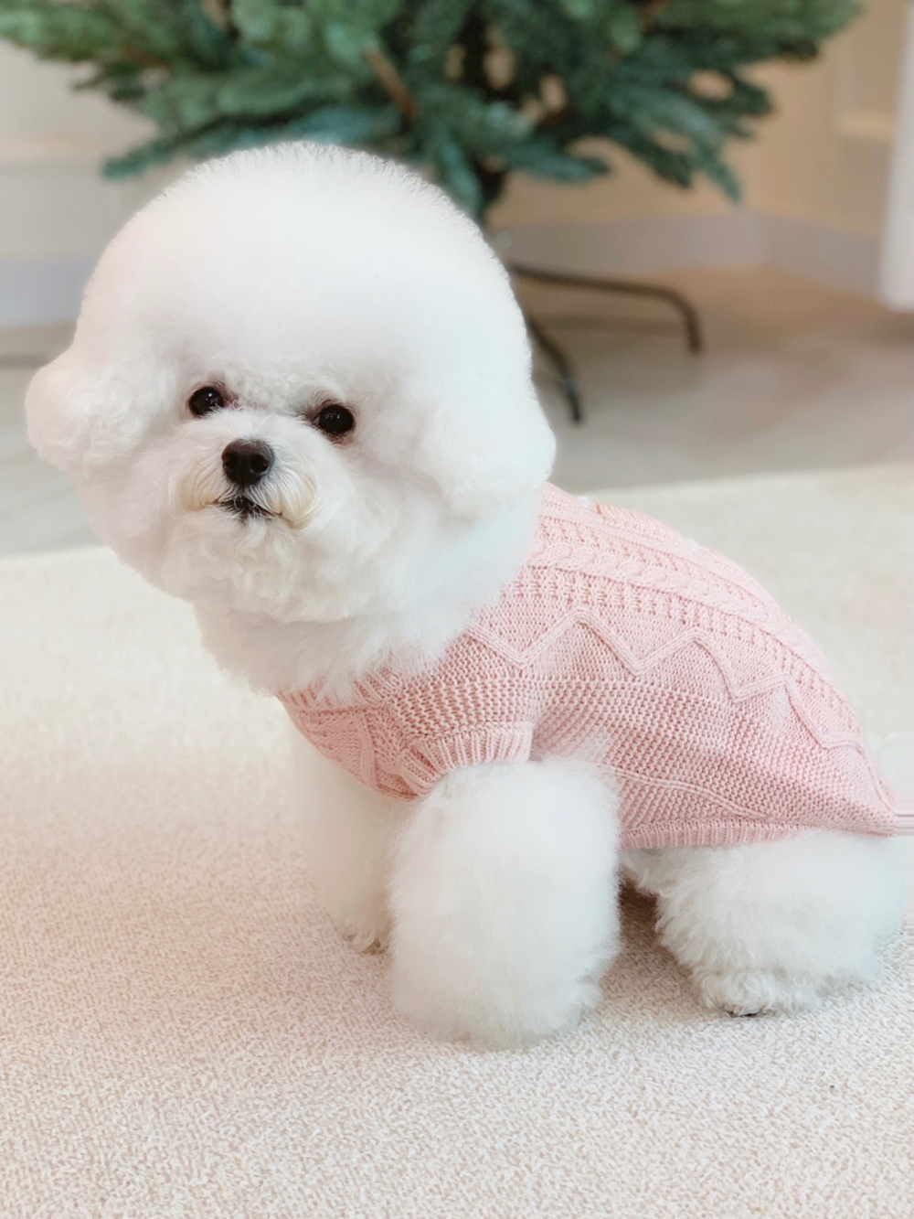 팻의류 강아지의류 반려견옷 상세 이미지 12