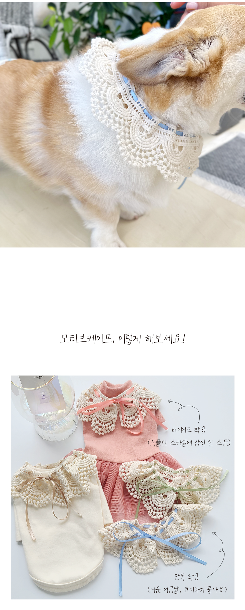 강아지악세사리 강아지레이스케이프 반려견케이프 상세 이미지 7