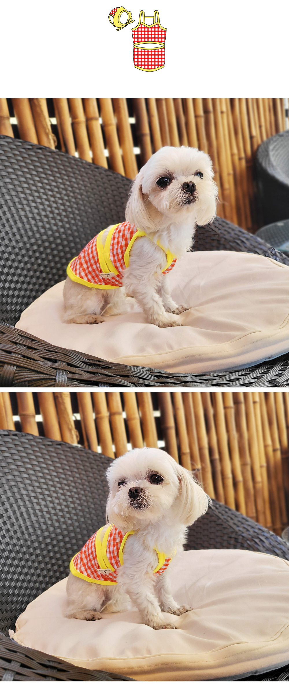 강아지수영복비키니 강아지비키니투피스 강아지수영복세트 상세 이미지 7