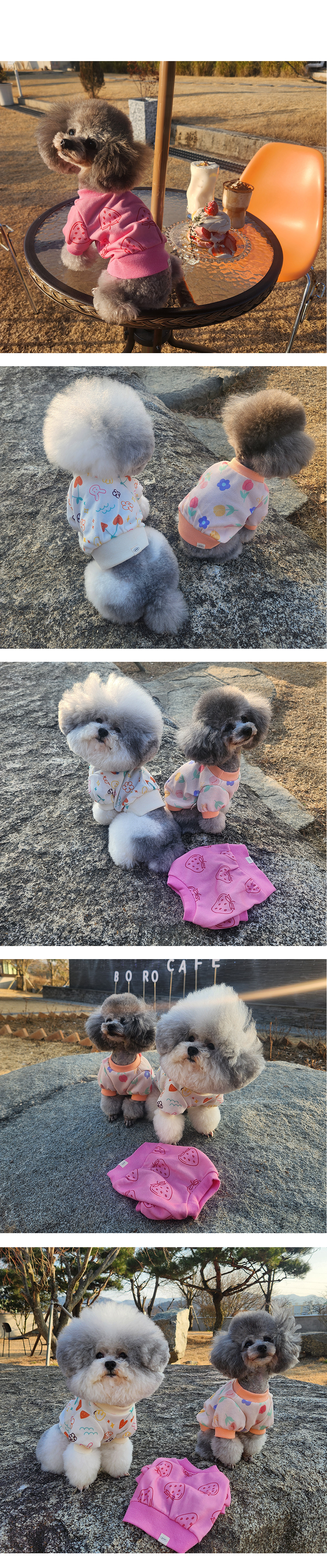 강아지크롭탑 강아지크롭티 강아지옷 상세 이미지 5