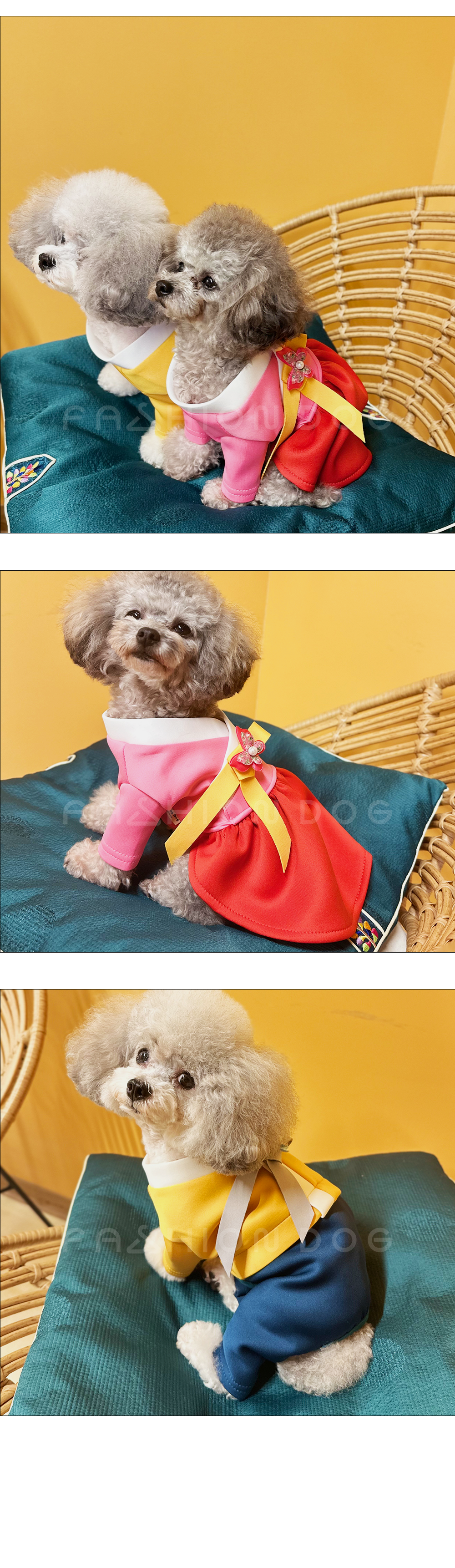 강아지한복남아 반려견한복원피스 애견한복원피스 상세 이미지 7
