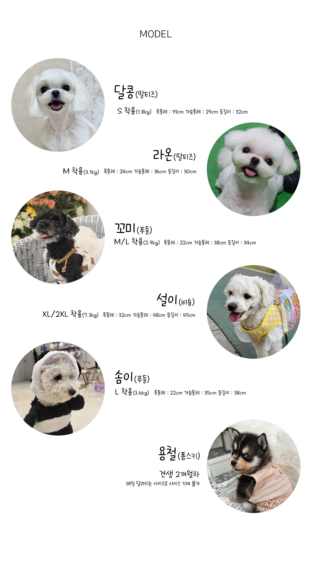 강아지악세사리 강아지레이스케이프 반려견케이프 상세 이미지 10
