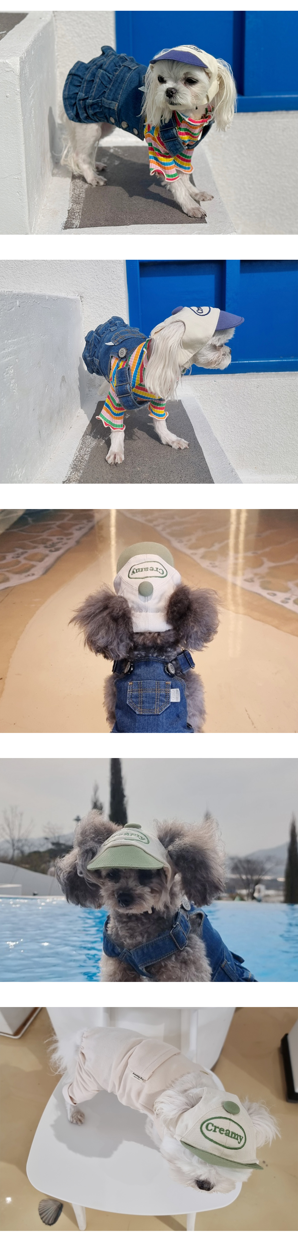 애견모자 애견외출용품 강아지산책모자 상세 이미지 5