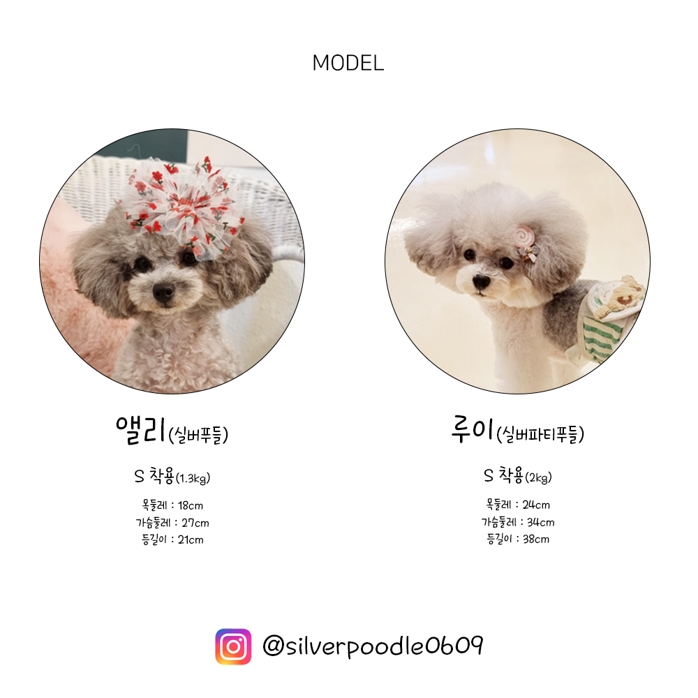 강아지옷겨울옷 소형견옷 애완견옷 상세 이미지 9