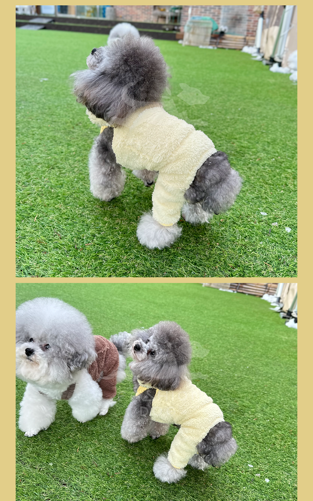 강아지바지 남자강아지바지 애견의류 상세 이미지 7
