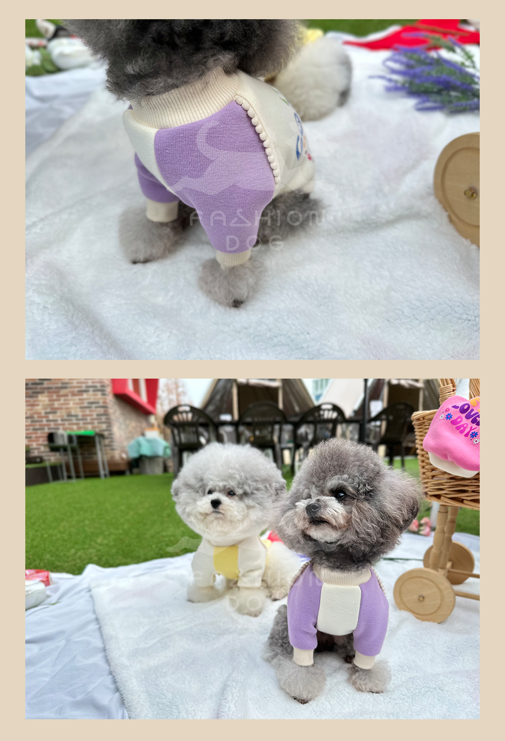 애완견옷 애견외출복 강아지맨투맨 상세 이미지 9