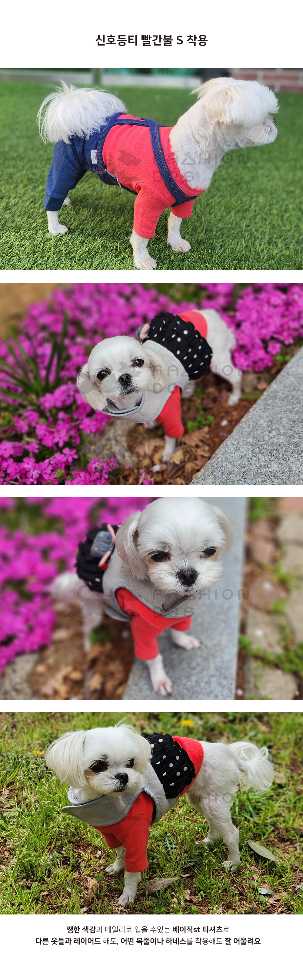 강아지봄옷 강아지외출복 암컷강아지옷 상세 이미지 5